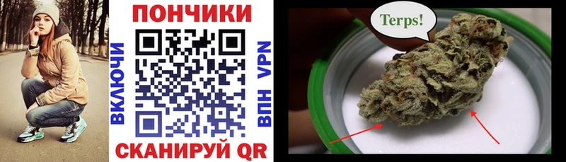 МАРИХУАНА конопля  площадка состав  Истра 